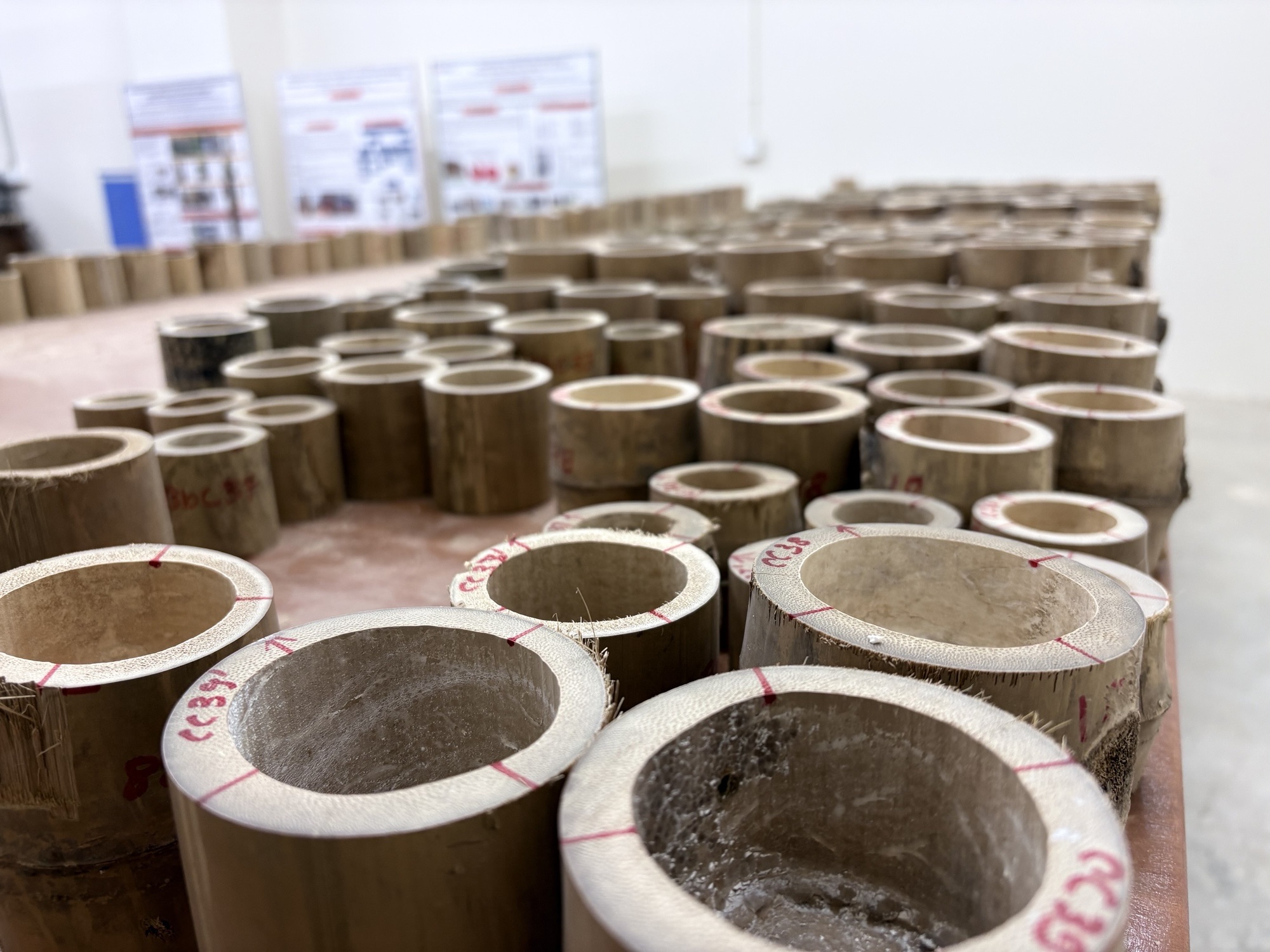 Prepared bamboo samples in the SRI Lab